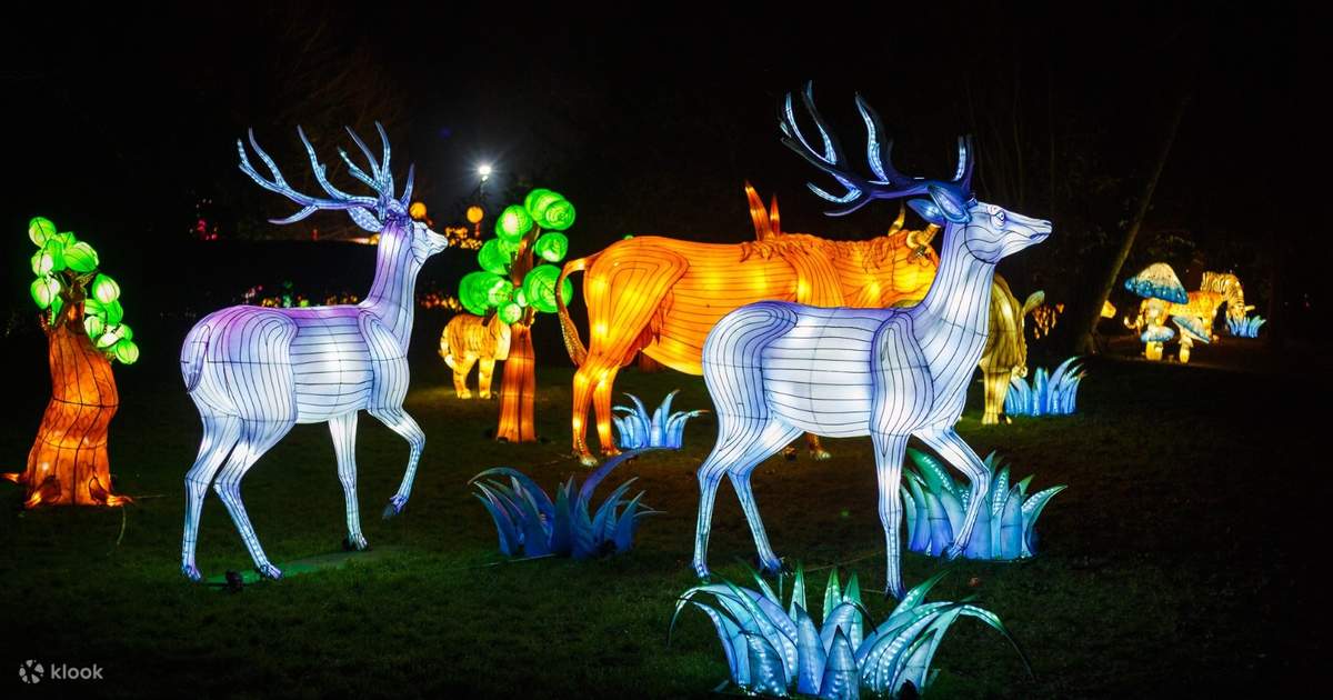 Lightopia festival sales